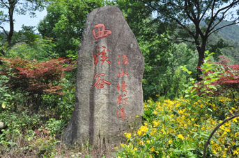 西溪谷沿山慢行道二期新建林区道路工程监理